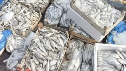 Mide bulandıran görüntü: Kasa kasa imha edildi!