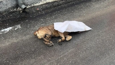 Kayseri'de vahşet: Ayakları bağlandı silahla öldürülüp çuvalla sokağa atıldı