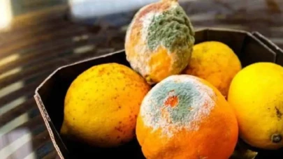 Limonlar neden çabuk bozuluyor? Uzmanlar tazeliği korumanın yollarını açıkladı!