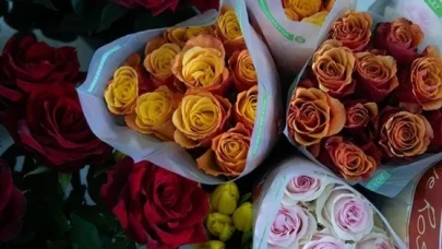 14 Şubat’ta Gül Fiyatları Ne Kadar? 1 Adet Gül Kaç TL, Gül Demeti Kaç Lira? İşte 2025 Fiyat Listesi