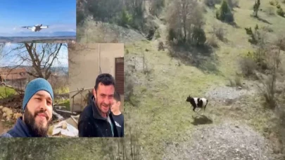 Cami imamı kaybolan ineği dronla buldu
