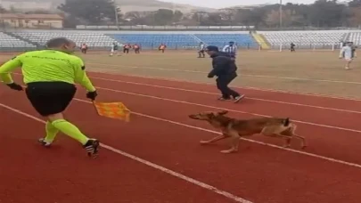 Köpek sahaya daldı hakem zor anlar yaşadı!