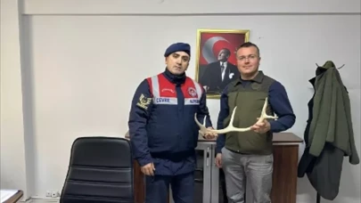 İkinci El Sitesinde Kaçak Satış: Geyik Boynuzu İlanı Jandarmayı Harekete Geçirdi!