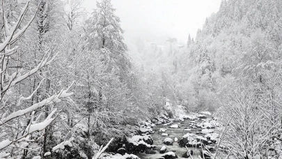 Arap ülkelerine kar sürprizi: Bir anda beyaza büründü
