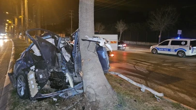 17 yaşındaki ehliyetsiz sürücünün kontrolden çıkan aracı palmiyelere çarptı