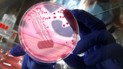 Kanserle Mücadelede Erken Tanı Kemoterapi ve Radyoterapi'nin Daha Etkin Hale Gelmesini Sağlıyor