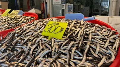 Kar yağışı sonrası balık tezgahlarında fiyatlar ne durumda?