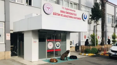 Şikayetler arttı Sağlık Bakanlığı harekete geçti