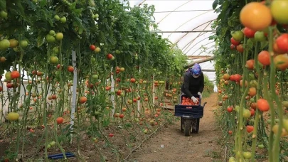 Psikolojik Hastalıklarda Yeni Proje Tarımla Terapi! Tarımla Terapi Nedir, İşe Yarıyor mu?
