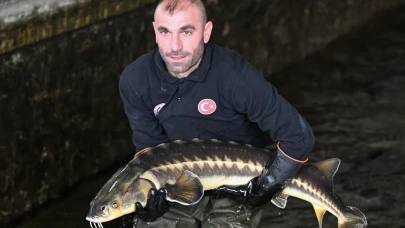 "Türk havyarı" dünya piyasasında olacak