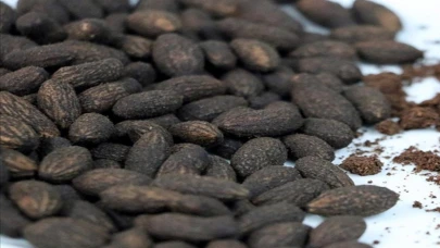 Yuttuğu Zeytin ve Hurma Çekirdekleri Hayatını Kararttı! 92 Yaşındaki Midesinde Oluşan Cisimler Nedeniyle Hastaneye Kaldırıldı