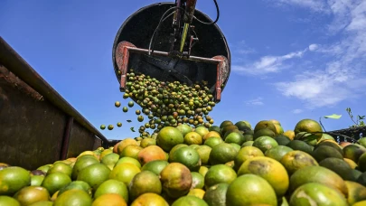 Kahve fiyatları artıyor portakal suyu fiyatları düşüyor!