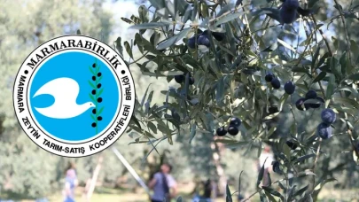 Marmarabirlik'ten üreticiye 800 milyon lira ödeme