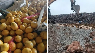 Pestisit tespit edilen 55 ton limon imha edildi