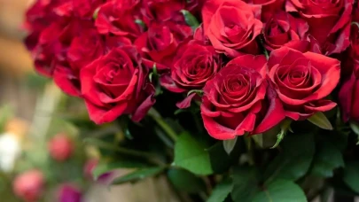 Sevgililer Günü 2025 Bir Gül Fiyatı Kaç TL, Gül Fiyatı Ne Kadar Oldu?