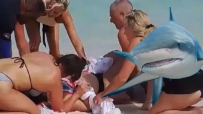 Köpek balığının fotoğraflarını çekmek istedi ellerinden oldu!