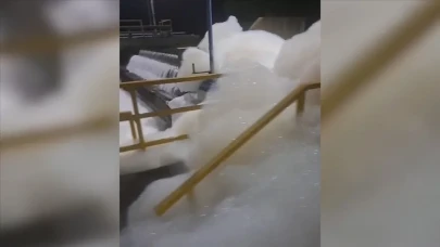 Yalova Su Kaynağındaki Köpüklenmenin Nedeni Belli Oldu: Su Neden Köpüklendi, Olaya Kim Sebep Oldu?