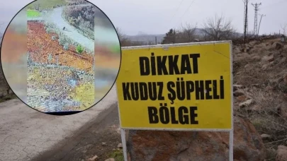 Kadına saldıran köpek kuduz çıktı: Mahalle karantinaya alındı