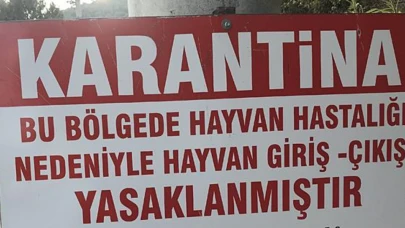 Elazığ'da 10 Kilometre Çapında Karantina Kararı Alındı! Karantina Kararının Sebebi Ne, Hangi Bölgeleri Kapsıyor?