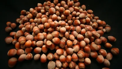 2025 fındık fiyatları güncel fiyat listesi: Giresun fındık fiyatları ne kadar?