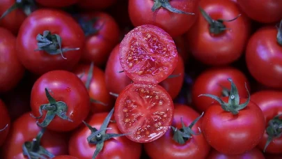 Virüslü Domates'e Tarım Ve Orman Bakanlığı Engeli! Tespit Edilen Ürünler Mahrecine İade Edildi