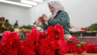 14 Şubat Sevgililer Günü için çiçek ihracatında rekor kırıldı