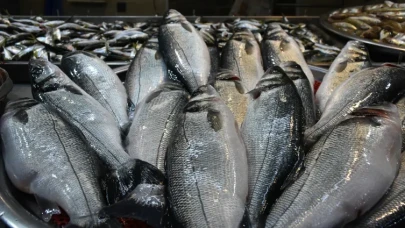 Soğuk hava balık fiyatlarını vurdu