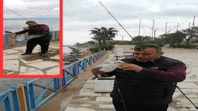 Finike'de balıkçıdan gülümseten anlar: Oltaya takılan martı kurtarıldı