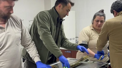 Otobüste nefes kesen anlar! Kartondan çıkan şey polisleri şoke etti