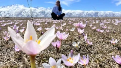Kış Bitti, Güzellik Başladı! Hakkari'de Baharın İlk Işıkları Kardelenlerle Geldi