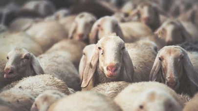 Güç yetirilemeyecek bir şey adamak geçerli olur mu?