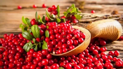 Dişlerden Mideye, Kalpten Cilde! Kızılcık Her Derde Deva Çıkıyor