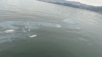 Çevre katliamına geçit yok: İzmir’de Körfezi kirleten firmaya ağır ceza!