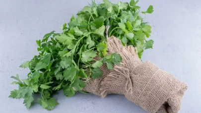 Böbrekleri Temizliyor, Vücudu Arındırıyor! Maydanozun Şaşırtıcı Etkileri