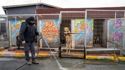 Yedikule Hayvan Barınağı’nda Hijyen Devrimi! Kärcher Tüm Gücüyle Sahada