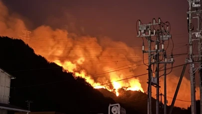 355 Hektar Kül Oldu! Japonya’da Alevler Şehirleri Tehdit Ediyor