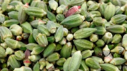 Bamya Suyunun Bilinmeyen Zararları! Kimler İçin Riskli?