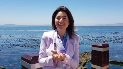 Elif Çomoğlu Ülgen Kimdir, Eşi Kim, Hangi Görevlerde Bulundu?