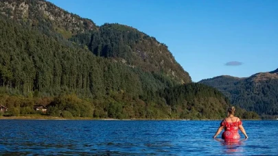 Beyin Doğada Şifa Buluyor: Ağrı Algısını Düşüren Etki!