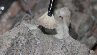 1,4 Milyon Yıllık Şok Keşif: Avrupa'nın En Eski İnsan Fosili Bulundu!