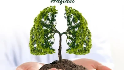 Yeşilay Nedir, Tarihçesi, Yeşilay Haftası Hangi Tarihler Arası Kutlanır, Yeşilay Ne Amaçla Kurulmuştur, Faaliyetleri Nelerdir?