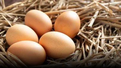 Yumurta fiyatlarını yükseltenlere geçit yok! Hükümetten kritik adım