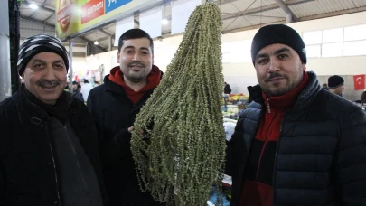 Amasya’nın “Sarı Altını” Bamya, Gram Altını Solladı! Kilosu 3.500 TL’yi Aştı