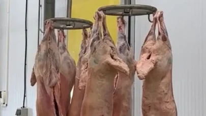 Ramazanda Et Tüketimi Zirvede! Mezbahalarda Yoğun Mesai Başladı