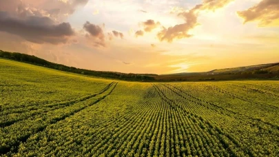 Tarımda Sessiz Devrim! Türkiye Dünya Sıralamasında İlk 10'da