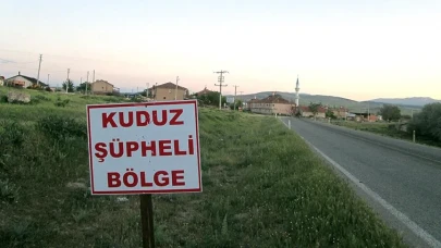 Kuduz Tehlikesi Büyüyor! Giriş Çıkışlar Kapatıldı 6 Ay Boyunca Karantina Sürecek