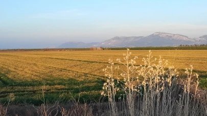 Kuraklığa Karşı Milli Seferberlik! Bakanlık’tan Adanalı Çiftçiye Tohum Desteği