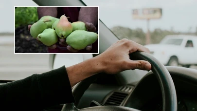 Yargıtay’dan tarihi karar: Armut artık silah sayılıyor!