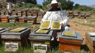 Kilosu 1300 Lira! Arıcıların Gözdesi Polen Raflara Giriyor
