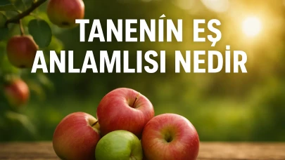Tanenin Eş Anlamlısı Nedir? Kelime Anlamı, Kullanım Alanları ve Dilbilimsel Değerlendirme
